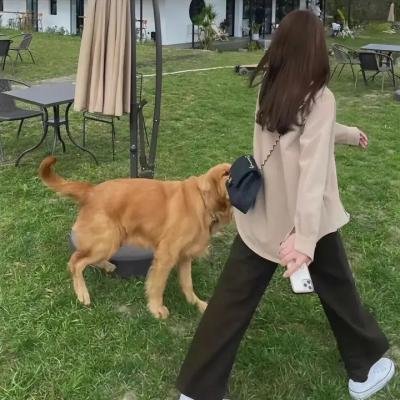 隐藏的情人